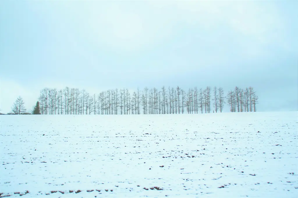 大阪8天自由行攻略：吃喝玩樂購物懶人包