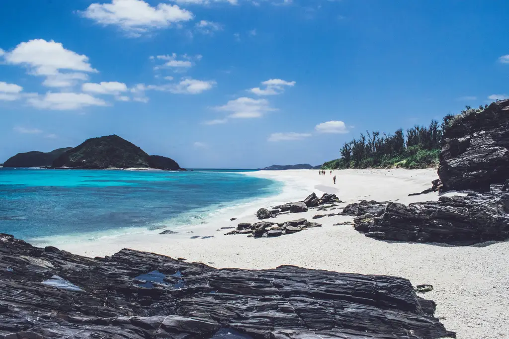 大阪六天五夜花費攻略：盡享美食購物不傷荷包