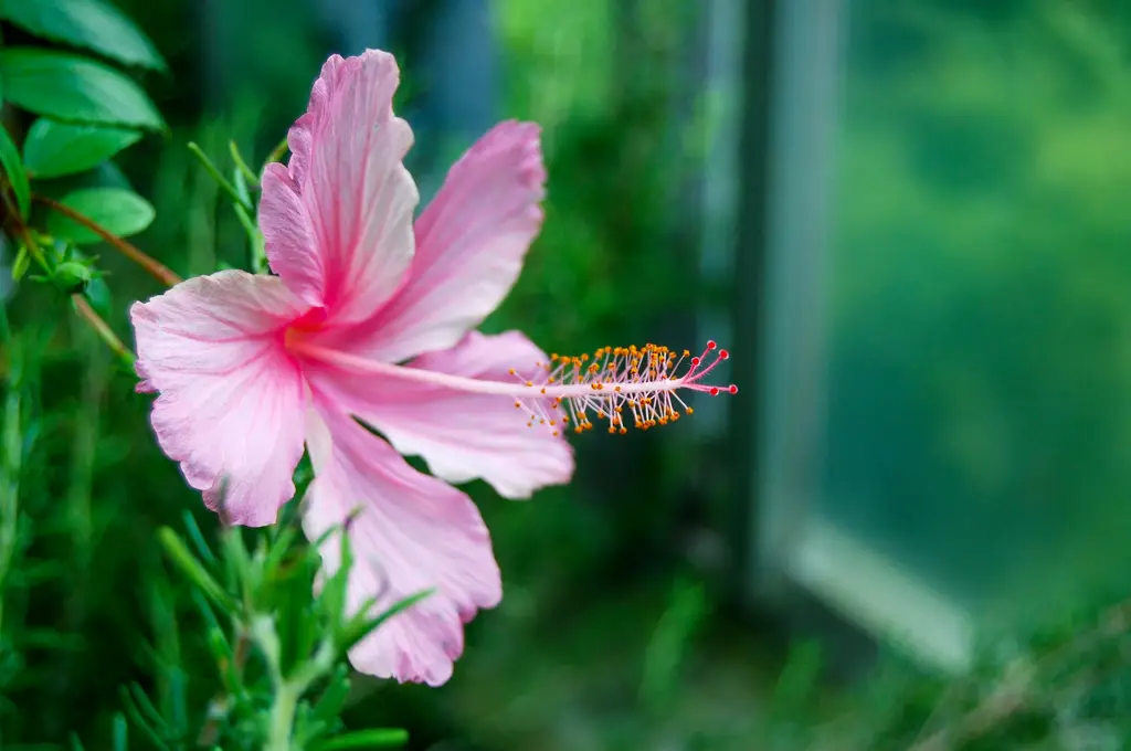 大阪六日五夜深度散策：吃喝玩樂盡情體驗！