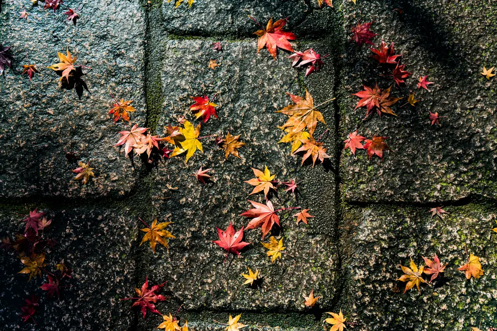 大阪環球影城自由行懶人包：玩翻日本好萊塢，荷包不破產！